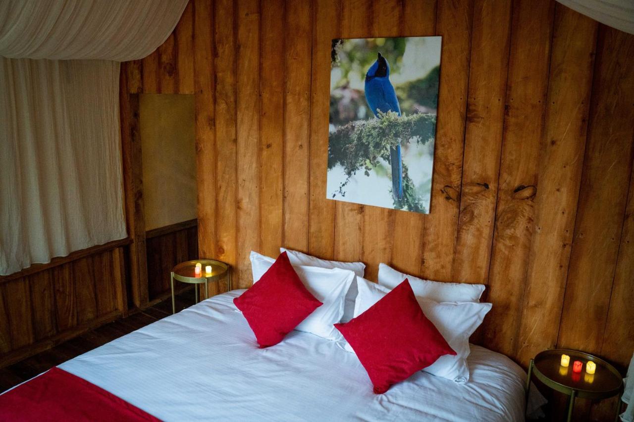 Birdglamping Los Arboles Glamping Hotel Salento Exteriör bild