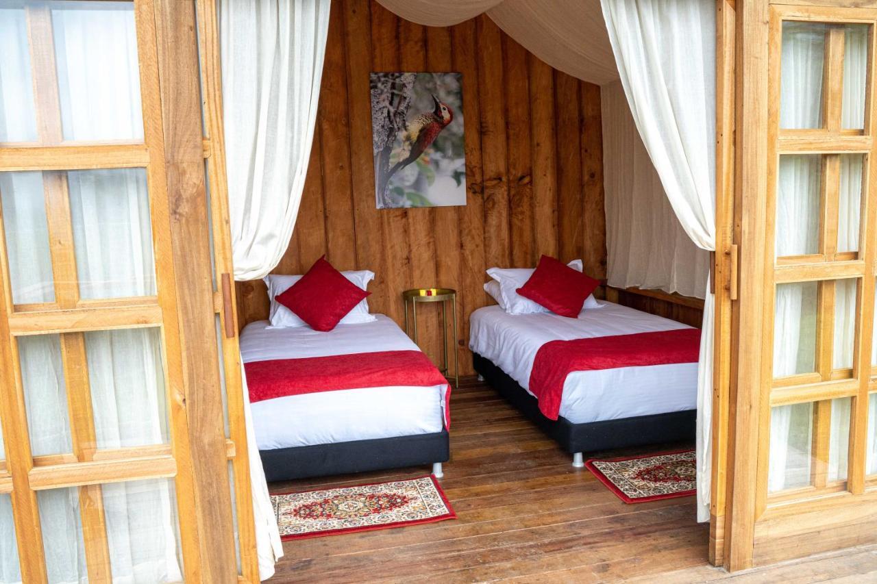 Birdglamping Los Arboles Glamping Hotel Salento Exteriör bild