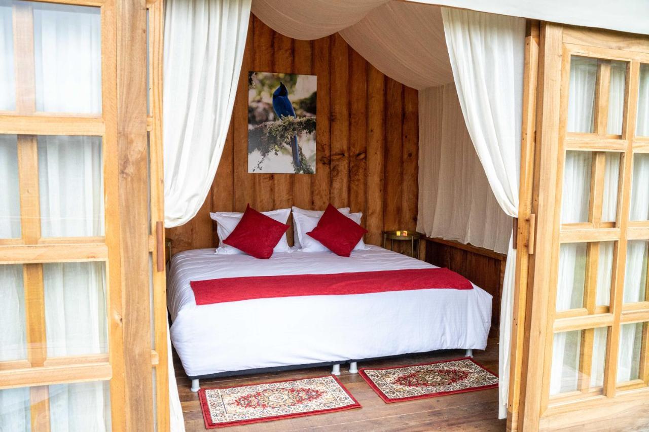 Birdglamping Los Arboles Glamping Hotel Salento Exteriör bild